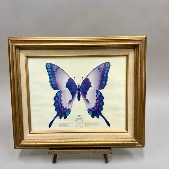 Vintage 1973 Richard A. Colborn Gemini Butterfly Print Framed 18.75"X16 - Picture 1 of 16